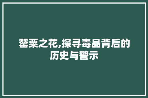 罂粟之花,探寻毒品背后的历史与警示
