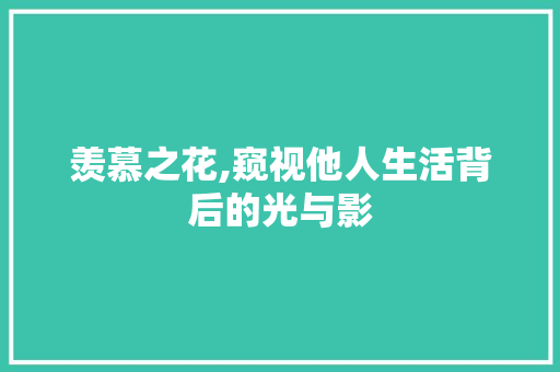 羡慕之花,窥视他人生活背后的光与影