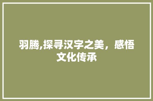 羽腾,探寻汉字之美，感悟文化传承
