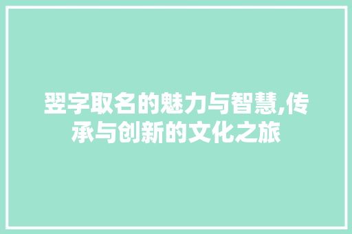 翌字取名的魅力与智慧,传承与创新的文化之旅