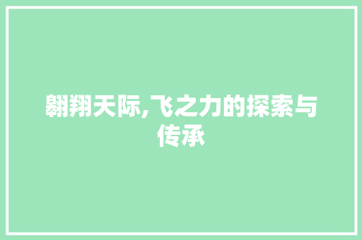 翱翔天际,飞之力的探索与传承