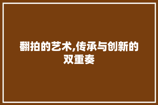 翻拍的艺术,传承与创新的双重奏
