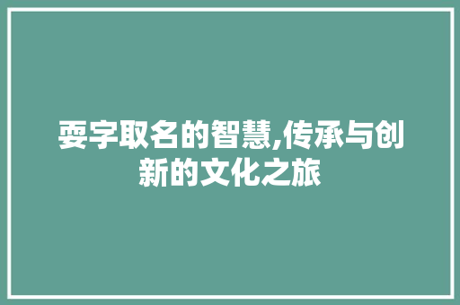 耍字取名的智慧,传承与创新的文化之旅