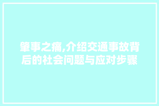 肇事之痛,介绍交通事故背后的社会问题与应对步骤