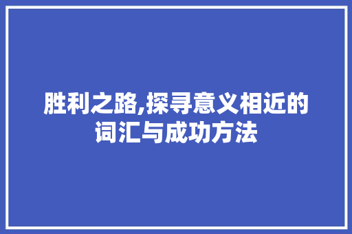 胜利之路,探寻意义相近的词汇与成功方法