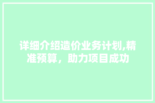 详细介绍造价业务计划,精准预算，助力项目成功