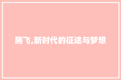 腾飞,新时代的征途与梦想