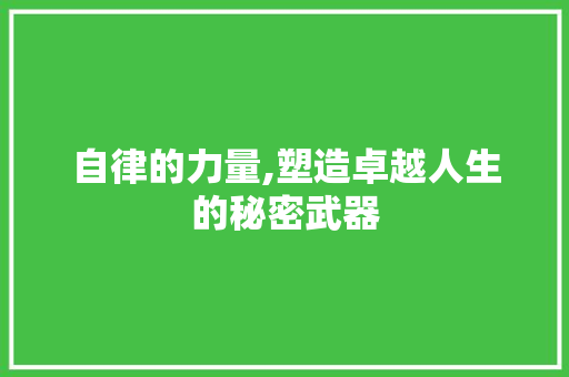 自律的力量,塑造卓越人生的秘密武器