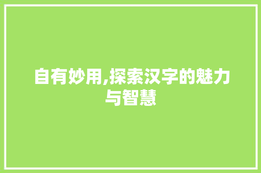 自有妙用,探索汉字的魅力与智慧