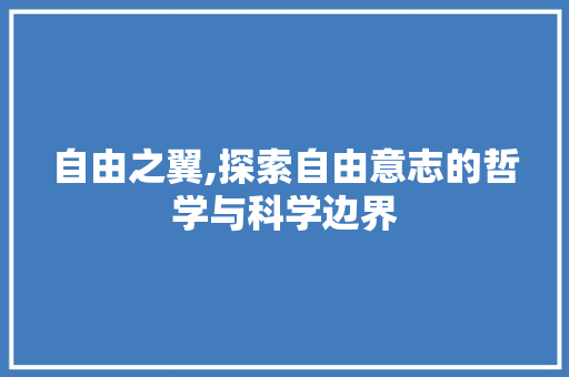 自由之翼,探索自由意志的哲学与科学边界