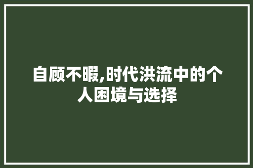 自顾不暇,时代洪流中的个人困境与选择