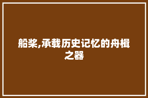 船桨,承载历史记忆的舟楫之器