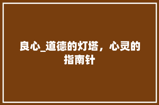 良心_道德的灯塔，心灵的指南针