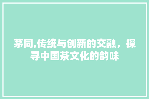 茅同,传统与创新的交融，探寻中国茶文化的韵味