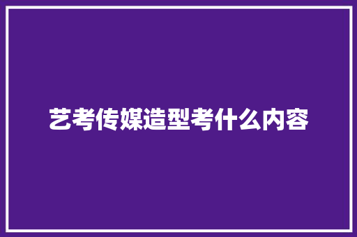 艺考传媒造型考什么内容
