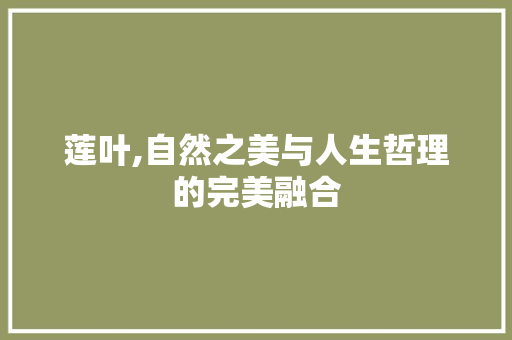 莲叶,自然之美与人生哲理的完美融合