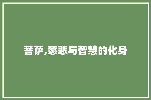 菩萨,慈悲与智慧的化身