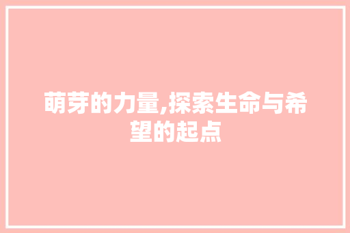 萌芽的力量,探索生命与希望的起点