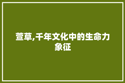 萱草,千年文化中的生命力象征