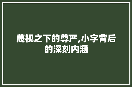 蔑视之下的尊严,小字背后的深刻内涵