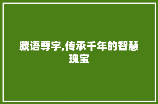 藏语尊字,传承千年的智慧瑰宝