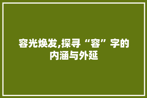 容光焕发,探寻“容”字的内涵与外延 合同协议