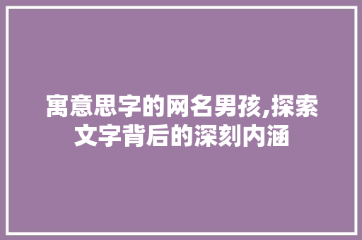 寓意思字的网名男孩,探索文字背后的深刻内涵 商业计划书范文