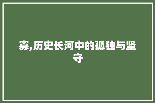 寡,历史长河中的孤独与坚守