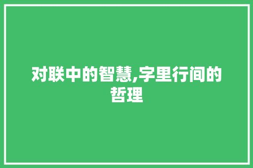 对联中的智慧,字里行间的哲理