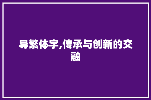 导繁体字,传承与创新的交融 商业计划书范文