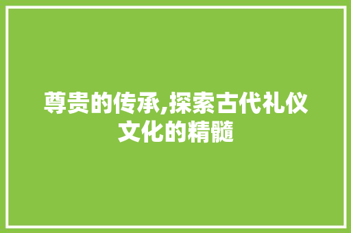尊贵的传承,探索古代礼仪文化的精髓