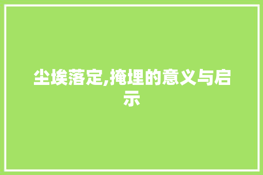 尘埃落定,掩埋的意义与启示
