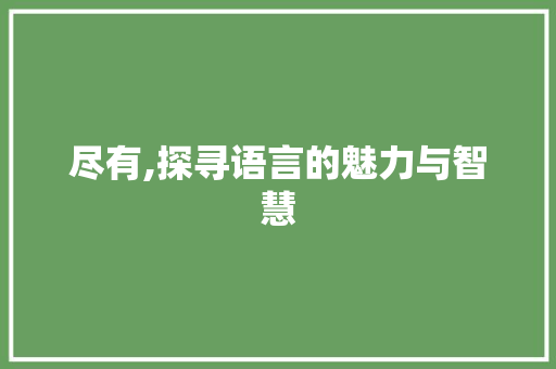 尽有,探寻语言的魅力与智慧