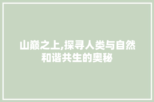 山巅之上,探寻人类与自然和谐共生的奥秘