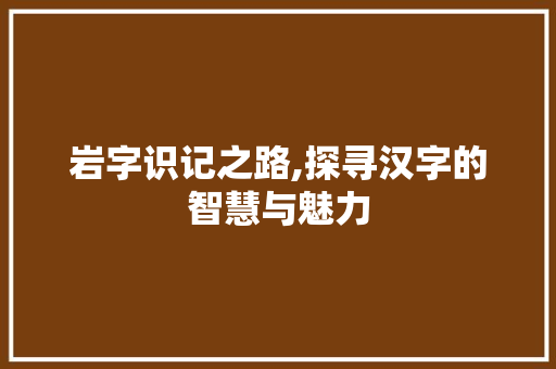 岩字识记之路,探寻汉字的智慧与魅力 优秀范文