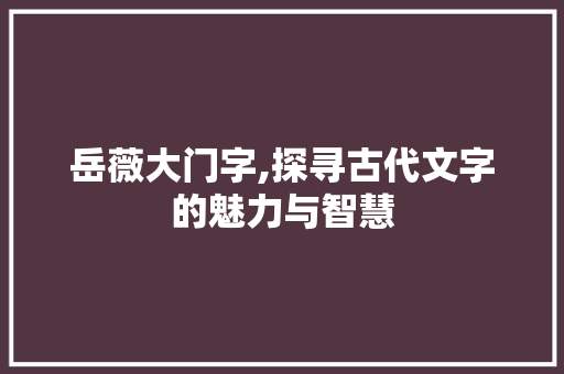 岳薇大门字,探寻古代文字的魅力与智慧 范文宝典