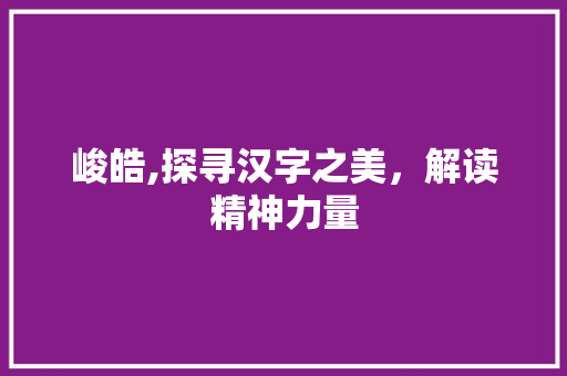 峻皓,探寻汉字之美，解读精神力量