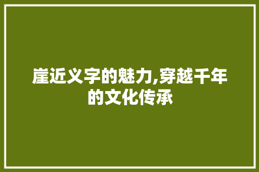 崖近义字的魅力,穿越千年的文化传承 范文精选网