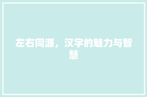 左右同源，汉字的魅力与智慧