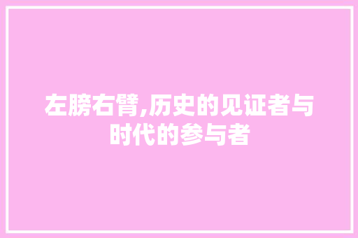 左膀右臂,历史的见证者与时代的参与者