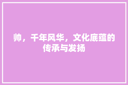帅，千年风华，文化底蕴的传承与发扬 合同协议