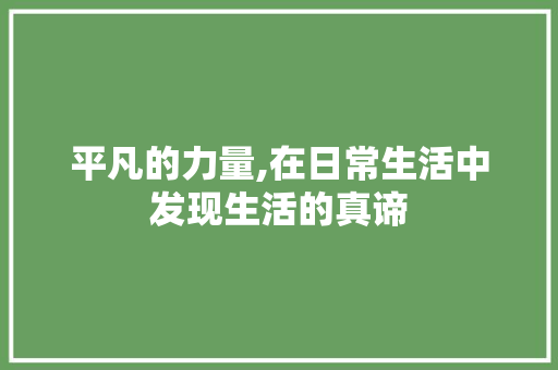 平凡的力量,在日常生活中发现生活的真谛