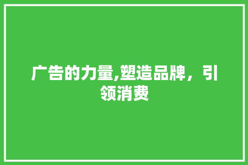 广告的力量,塑造品牌，引领消费