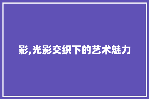 影,光影交织下的艺术魅力 范文资源