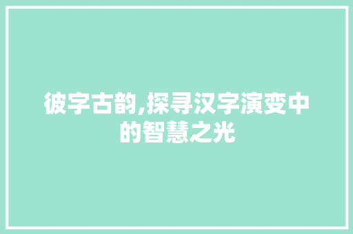 彼字古韵,探寻汉字演变中的智慧之光