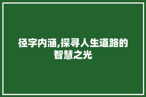 径字内涵,探寻人生道路的智慧之光