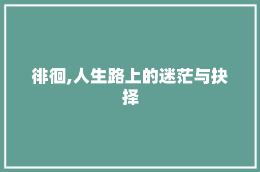 徘徊,人生路上的迷茫与抉择