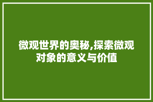 微观世界的奥秘,探索微观对象的意义与价值 范文之家
