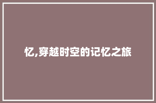 忆,穿越时空的记忆之旅