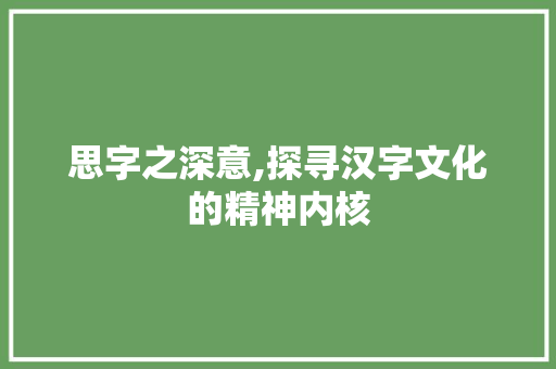 思字之深意,探寻汉字文化的精神内核